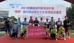 黄阁镇最新爆料新闻,揭秘最新事件背后的真相