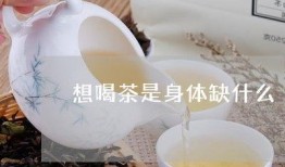 喝茶爆料最新